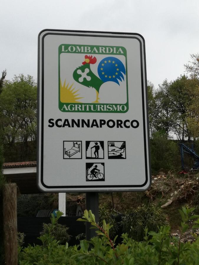 Alojamento de Turismo Rural Scannaporco *